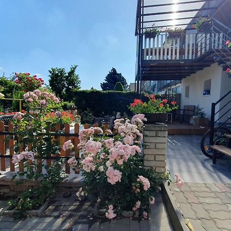 David Home 56 زنويمو المظهر الخارجي الصورة