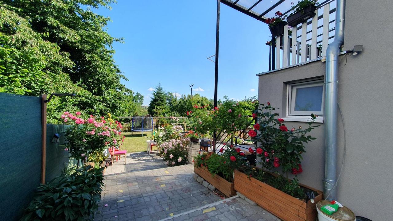 David Home 56 زنويمو المظهر الخارجي الصورة