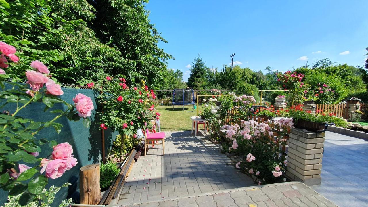 David Home 56 زنويمو المظهر الخارجي الصورة