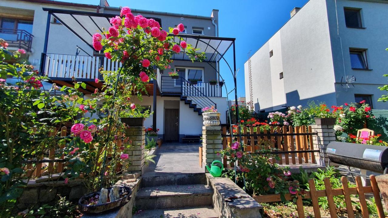 David Home 56 زنويمو المظهر الخارجي الصورة
