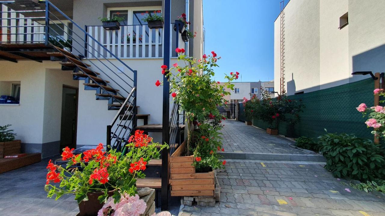 David Home 56 زنويمو المظهر الخارجي الصورة