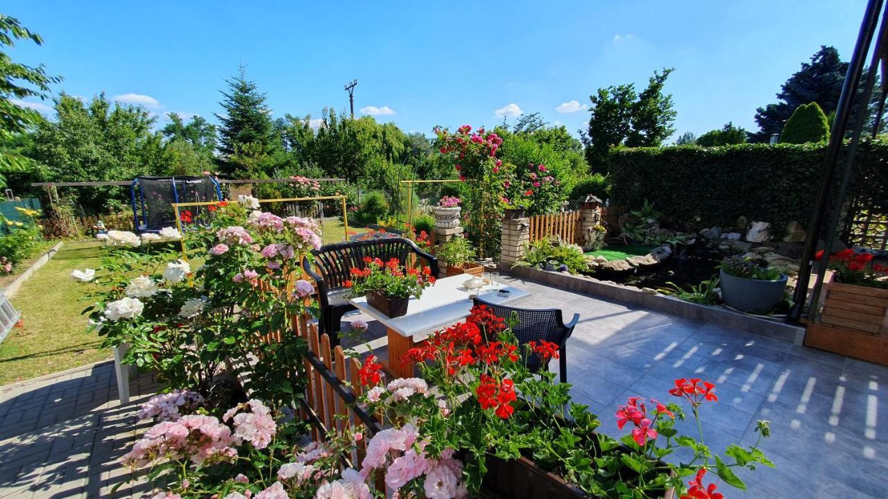 David Home 56 زنويمو المظهر الخارجي الصورة