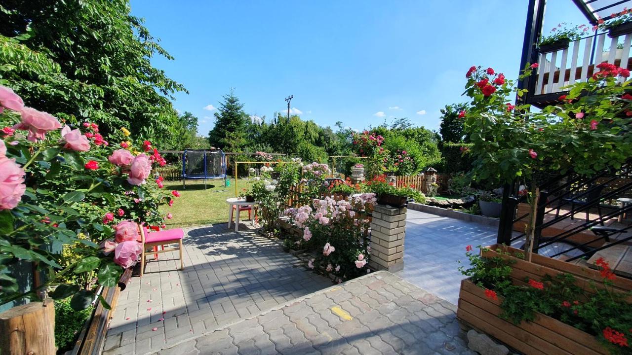 David Home 56 زنويمو المظهر الخارجي الصورة