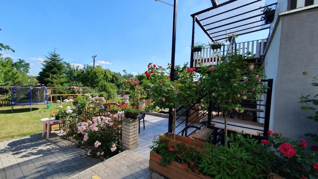 David Home 56 زنويمو المظهر الخارجي الصورة