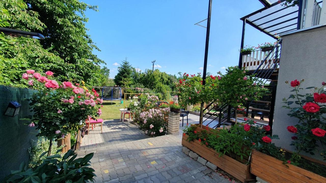 David Home 56 زنويمو المظهر الخارجي الصورة
