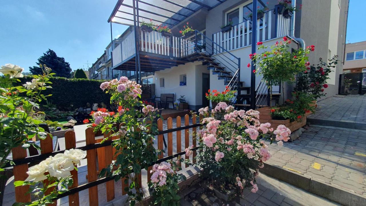 David Home 56 زنويمو المظهر الخارجي الصورة