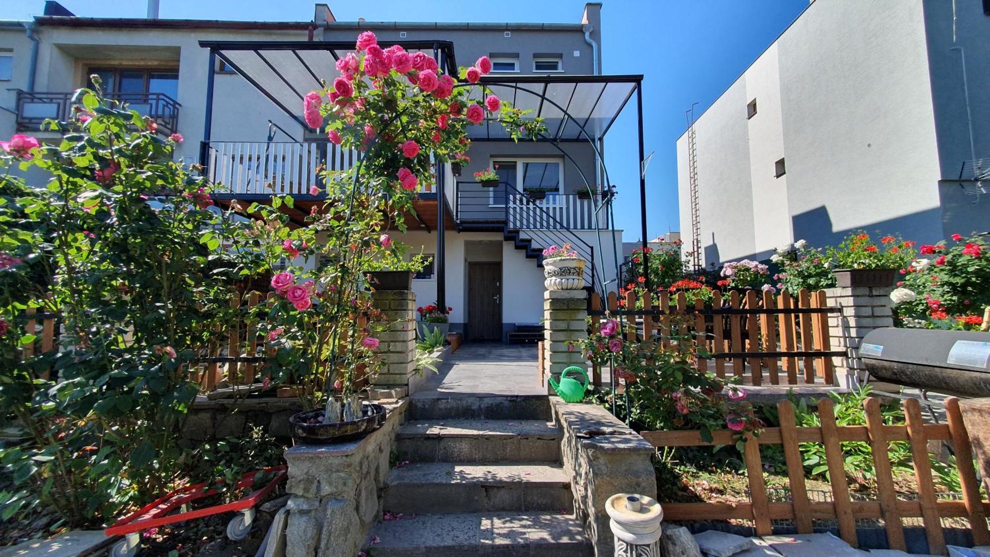 David Home 56 زنويمو المظهر الخارجي الصورة