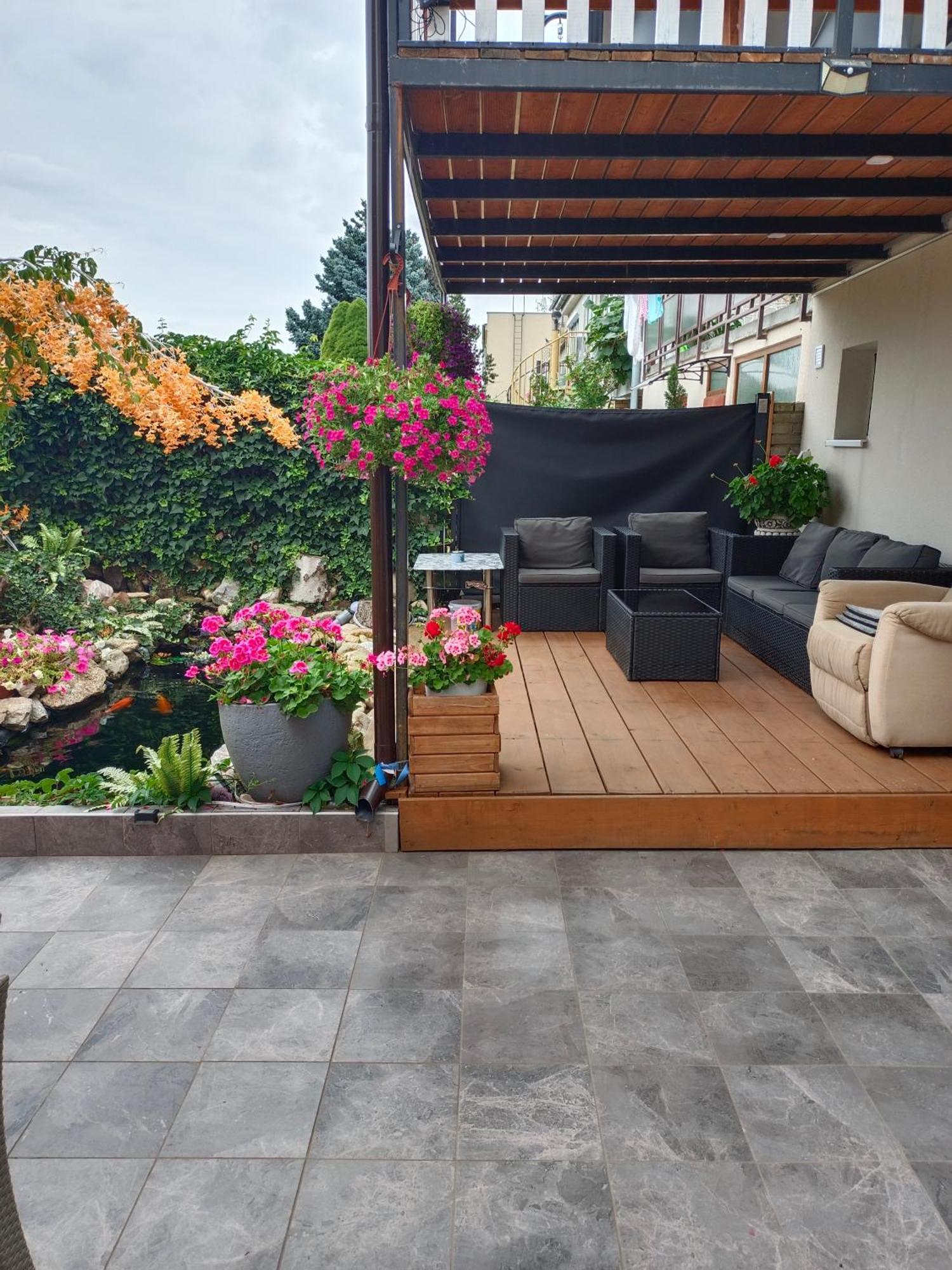 David Home 56 زنويمو المظهر الخارجي الصورة
